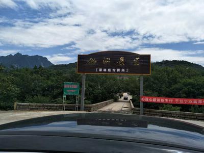 鲁山林彪秘洞